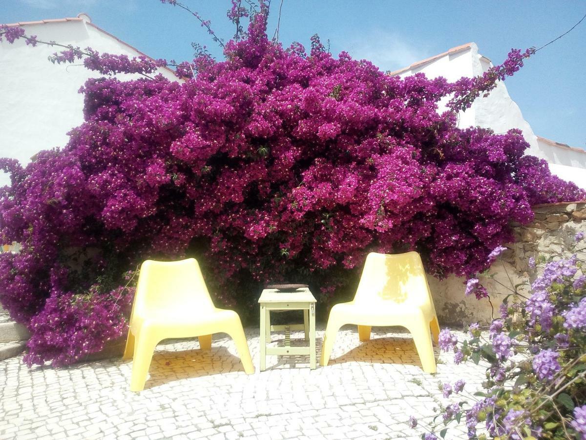 Hotel Quinta Laranja - Turismo Rural - Alvorninha Exterior foto